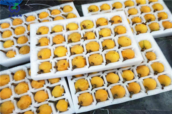 定做枇杷托的材料是環(huán)保的嗎？