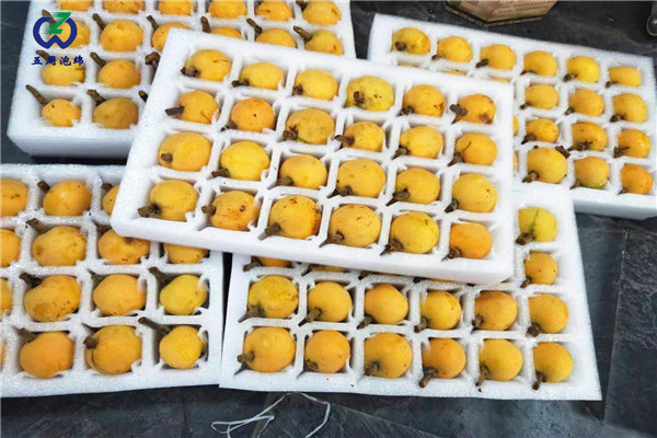 珍珠棉水果托定做，就找五周泡綿