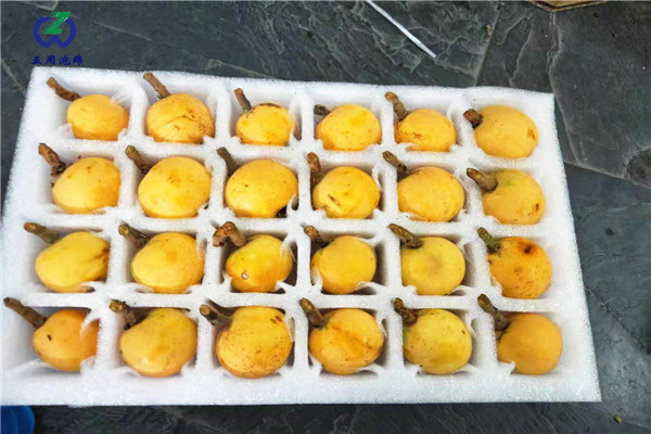 水果內(nèi)托的定做材料對(duì)人體有害嗎？